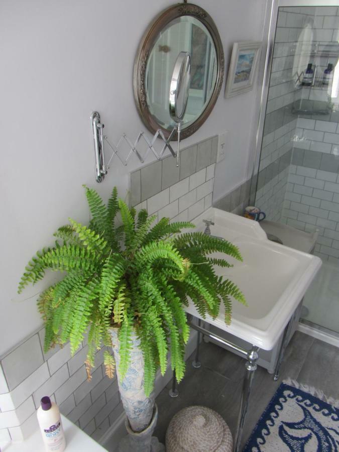 Anne'S House Bed & Breakfast เฮสติงส์ ภายนอก รูปภาพ